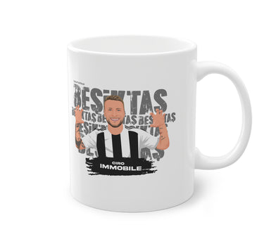 CIRO IMMOBILE - TASSE